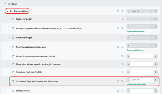 Nicht durch Eigenkapital gedeckter Fehlbetrag in den Aktiva
